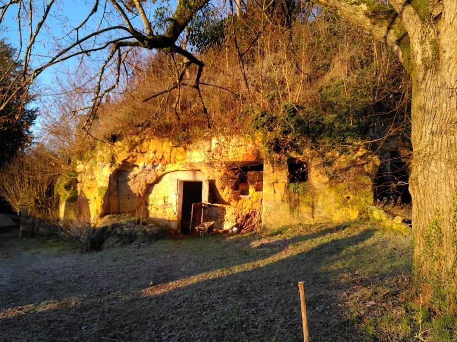 Villa Magnifiques Ecuries Juste Renovees - Domaine De La Mulotiere Langeais Exterior foto